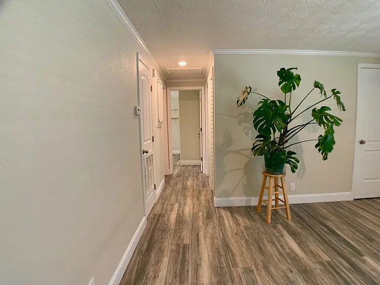435 Sigsbee Rd — Photo 6