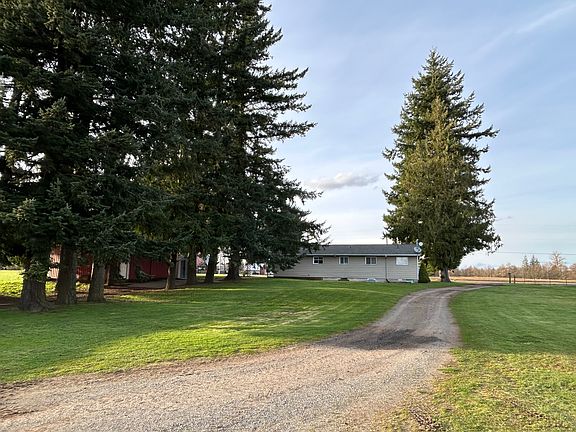 Large backyard