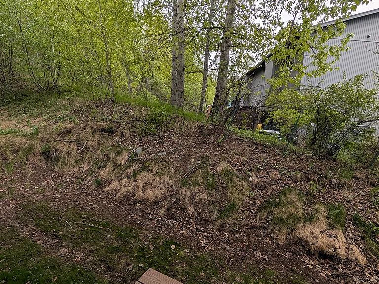 12253 Vista Ridge Loop — Photo 15