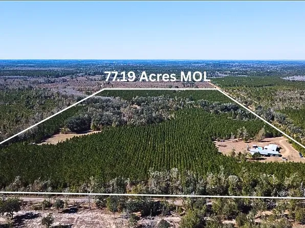 1112 Max Herrin Rd, Chattahoochee, FL 32324