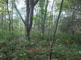 Rickey Rd, Austinville, VA 24312