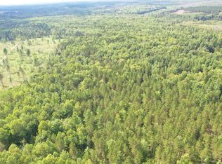 Na N Keno Rd, Saint Helen, MI 48656