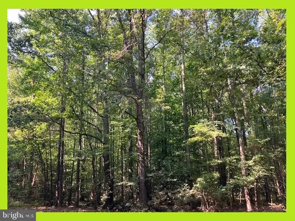 Skyview Dr, Bushwood, MD 20618