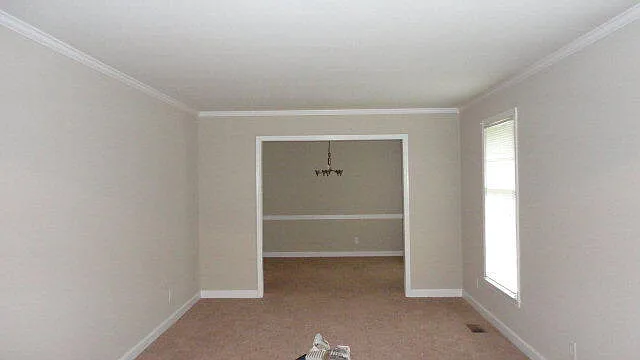 662 Pringle Dr — Photo 5