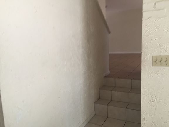 5th image of 7705 Palmbrook Dr