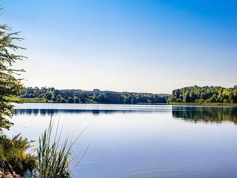 Tranquil Lakeside View with Urban Skyline in the Distance