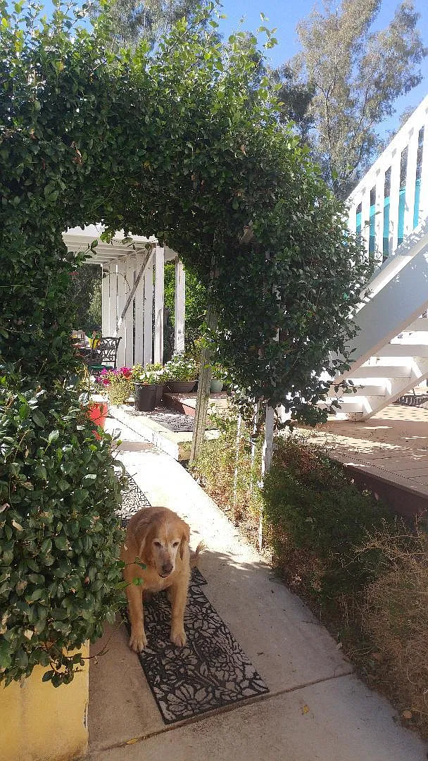 Studio, 750 sqft, $1,895 — Photo 1