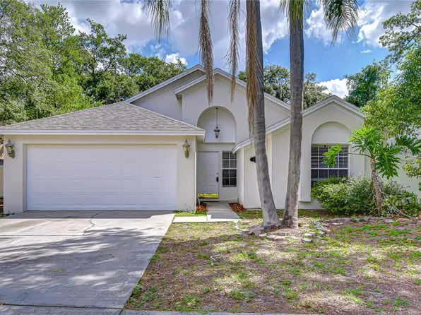 2512 Gotham Way, Valrico, FL 33596