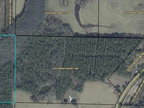 PARCEL 1934.00 0 #-002.00, Bonifay, FL 32425
