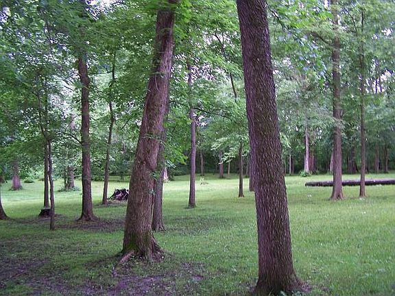 Yard & Timber
