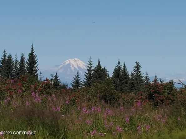 17301 Hyila Ln, Ninilchik, AK 99639