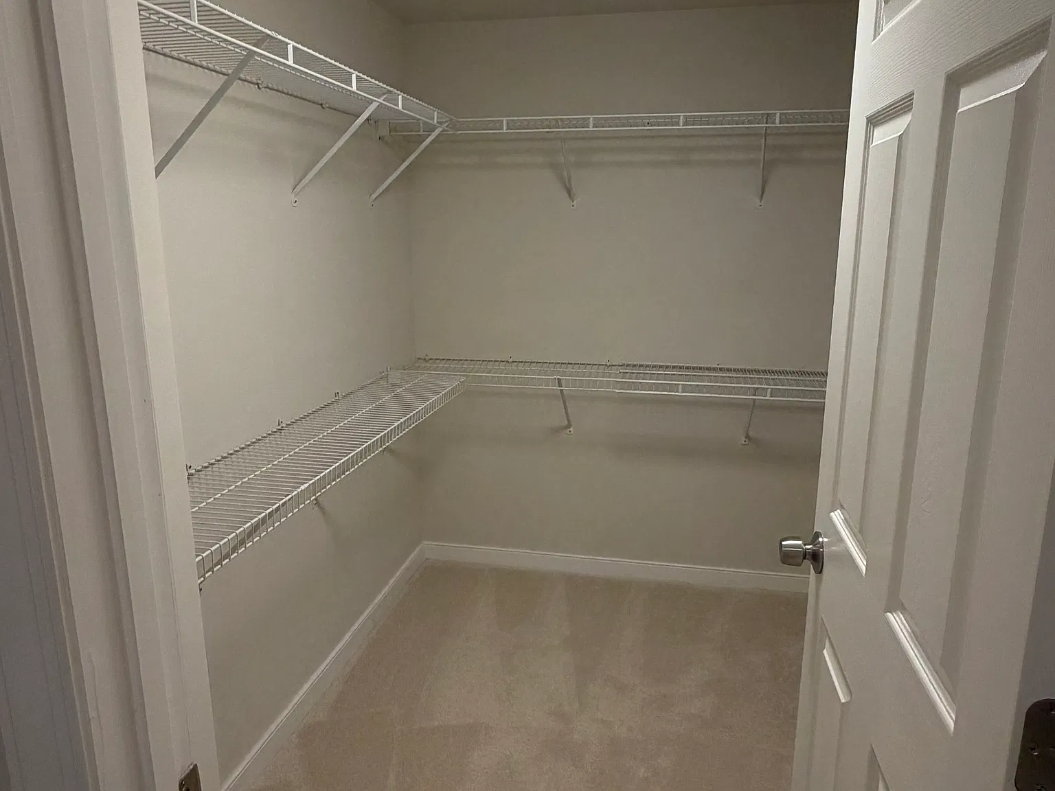 2 bed, 1060 sqft, $1,500 — Photo 3