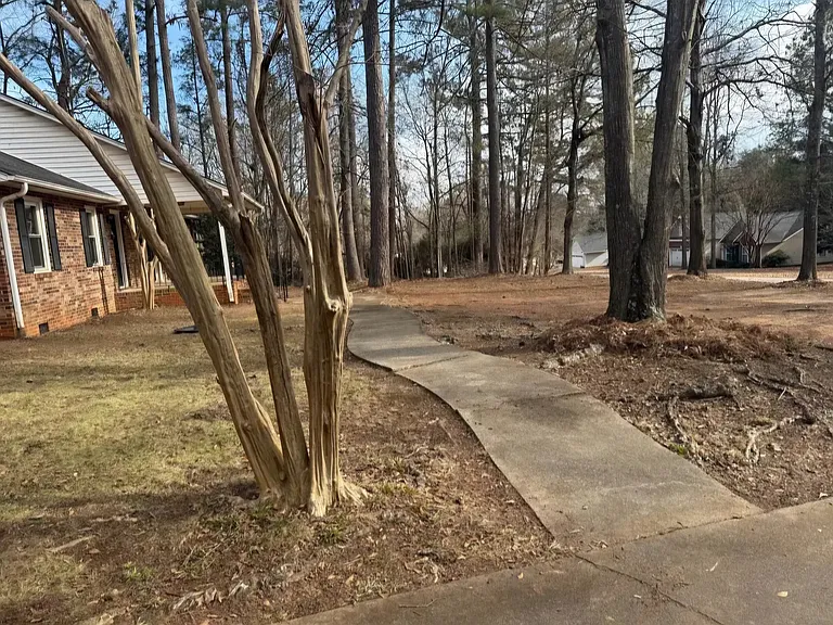 312 Holly Tree Cir — Photo 9
