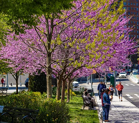 Rented by MNS | media 44