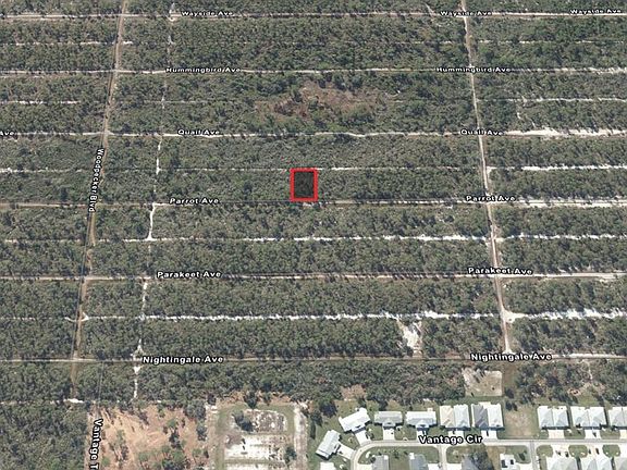 5th image of 533 Parrot Ave