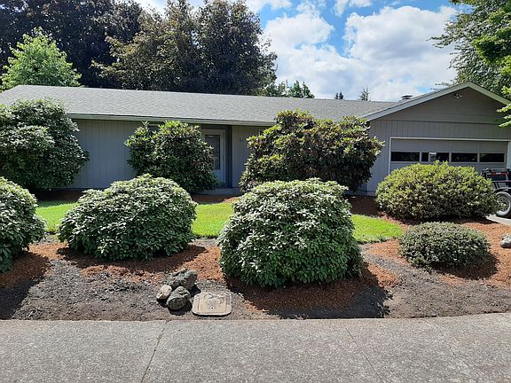 Rhodies bloom beautifully in the spring