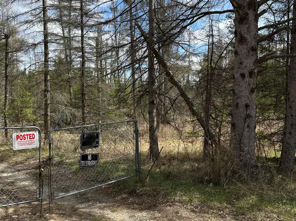 M 33 S, Atlanta, MI 49709