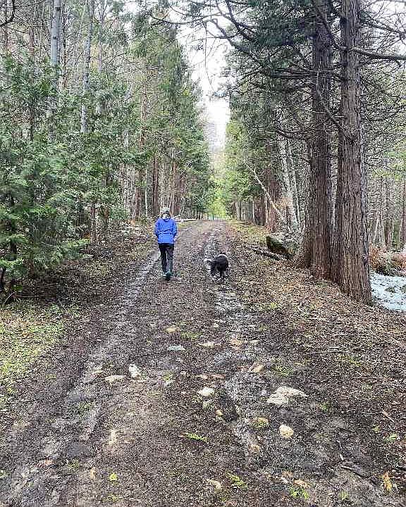 1st image of Red Fir Loop