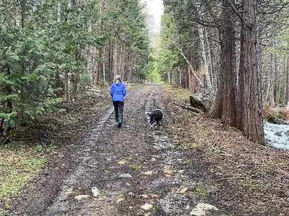 Red Fir Loop, Weed, CA 96094