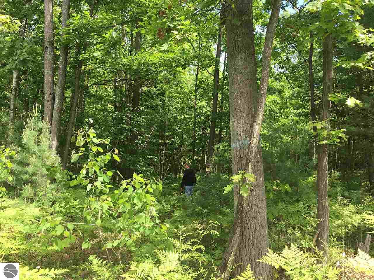 1729 N Fire Rd, Twining, MI 48766 Zillow