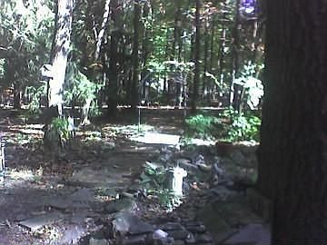 3rd image of 345 Apple Jack Ln
