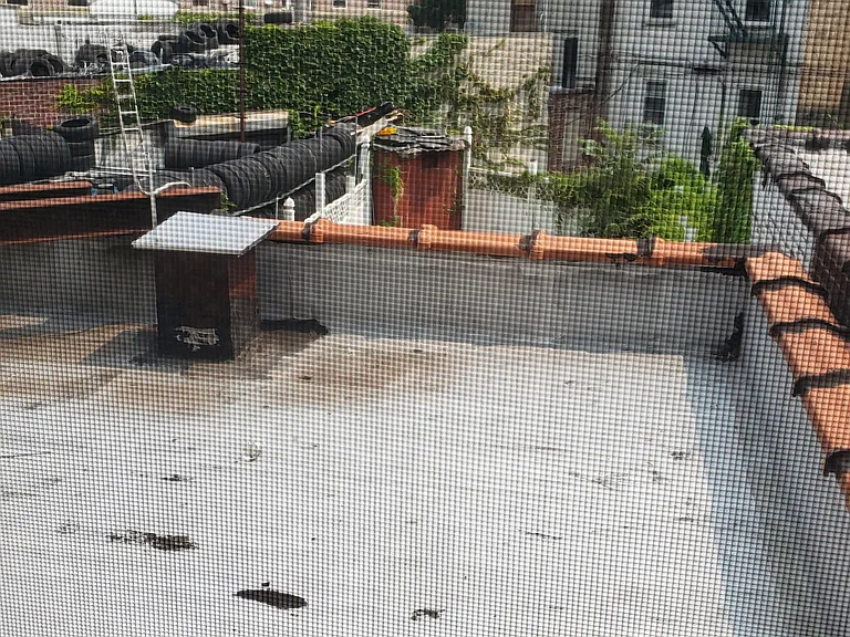 1233 Flatbush Ave #1 — Photo 6