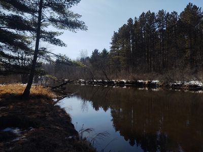 4427 Running Bear Ln, Harshaw, WI, 54529