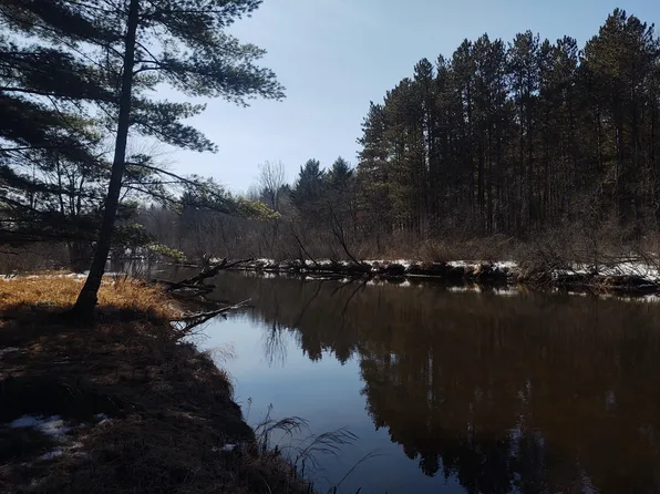 4427 Running Bear Ln, Harshaw, WI 54529