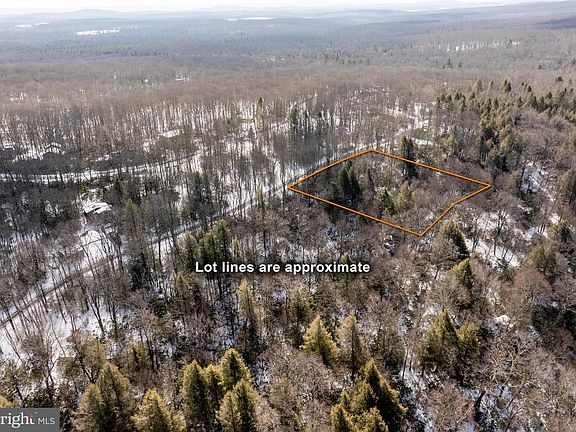 4th image of 233 Rhododendron Dr