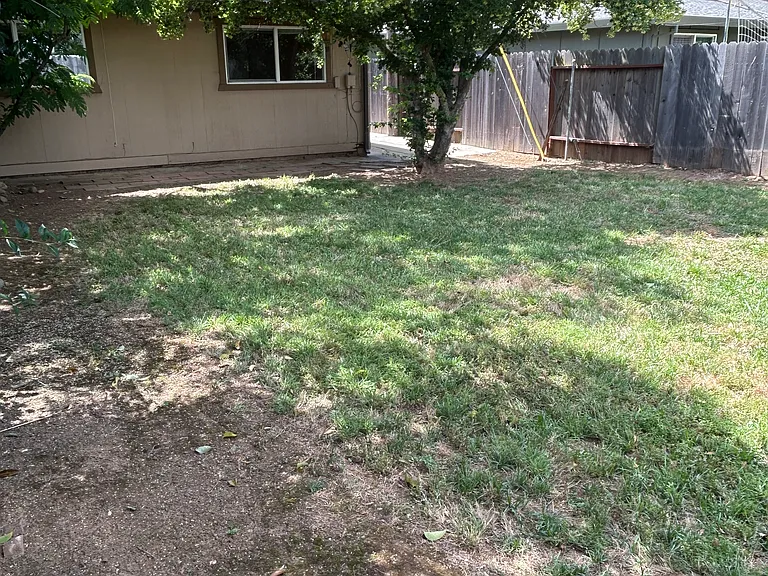 3317 Gould Way — Photo 12