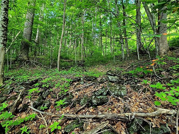 5th image of Lot 18 Elk Creek Mountain Parkway