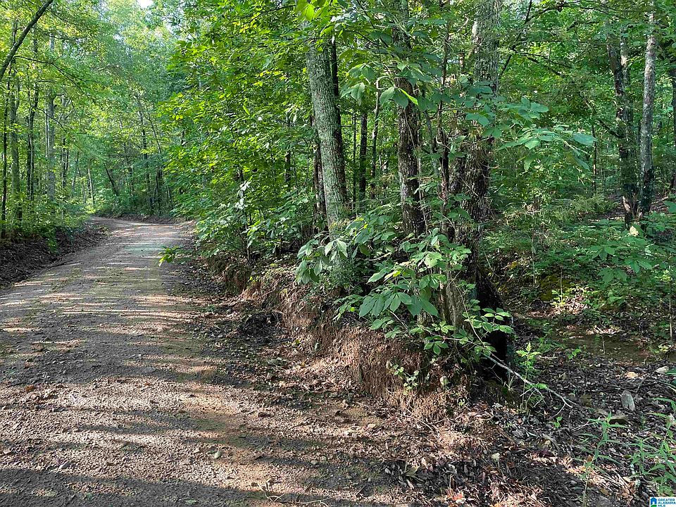 1st image of 0 County Road 612 #13