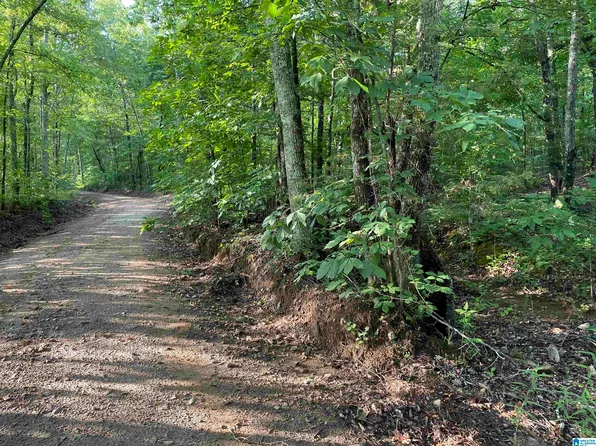 0 County Road 612 #13, Roanoke, AL 36274