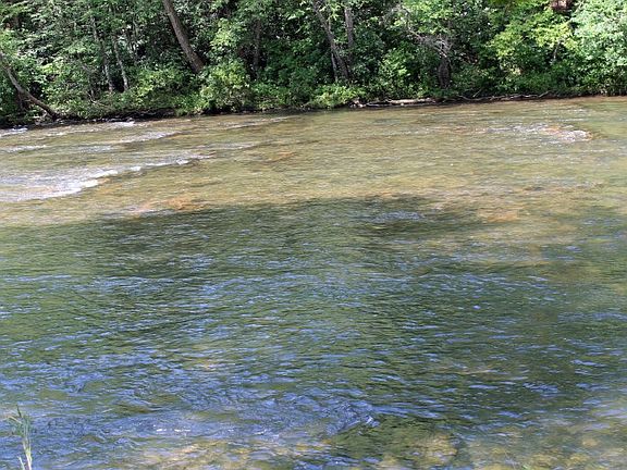 5th image of 44 Running River Trl