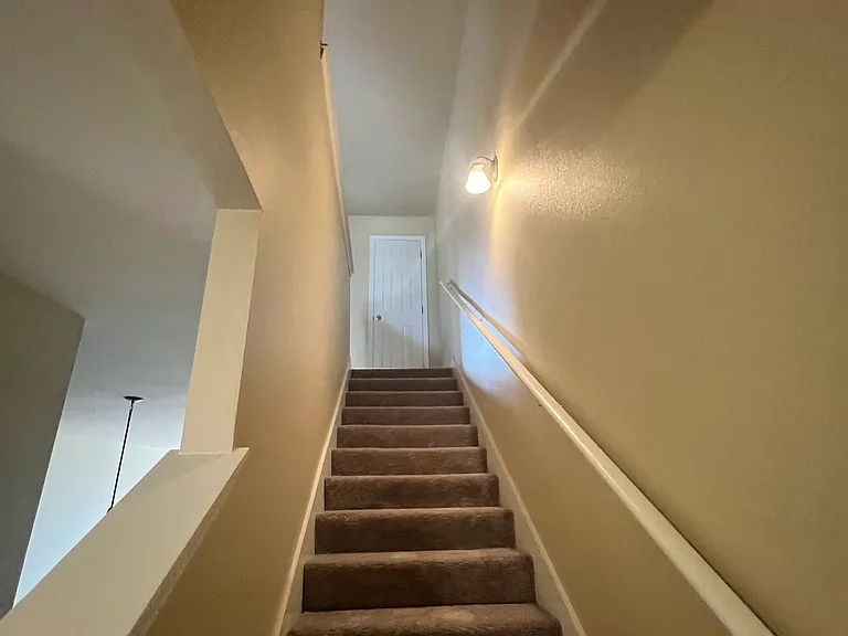1900 Carrollwood Dr #3 — Photo 24