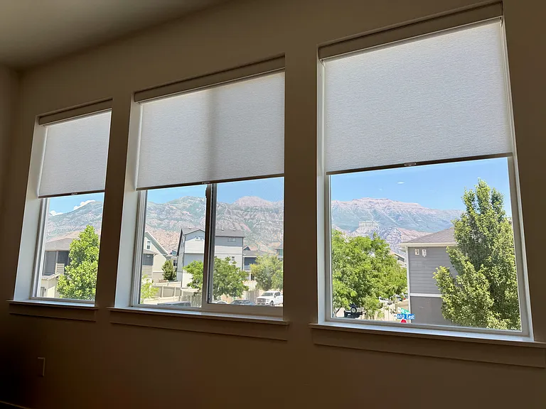 Custom Premium Roller Shades _ included throughout