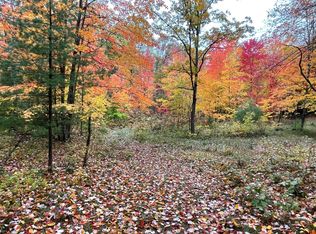 PARCEL Bosschem Rd #I, Wellston, MI 49689