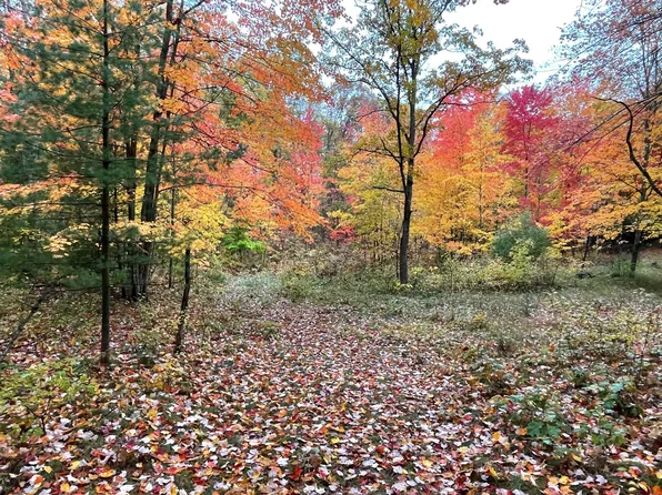 PARCEL Bosschem Rd #I, Wellston, MI 49689