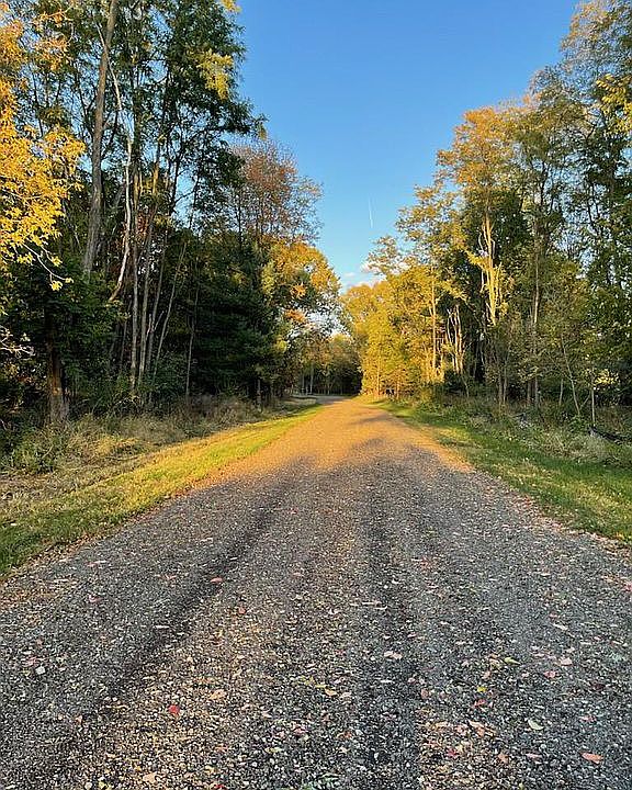 2nd image of Colangelo Ln