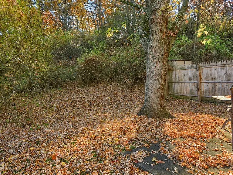 4286 Sample Ct — Photo 5
