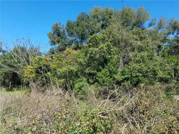 5 Lenox Ct #13, Deland, FL 32720