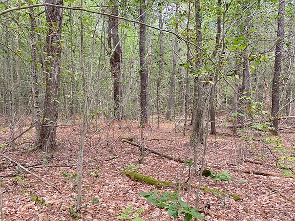 3rd image of LOT 6 Bissell Rd