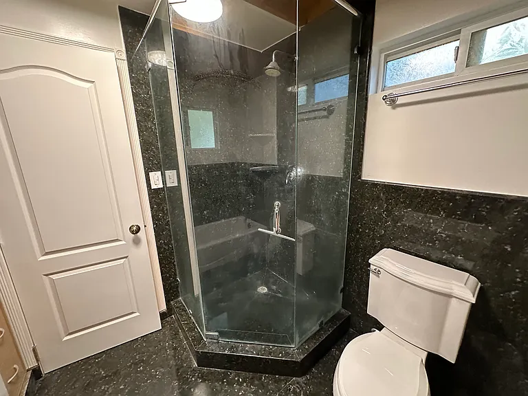 Master Bath Shower