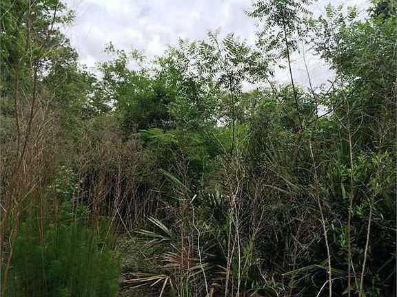 5th image of Petersville Rd