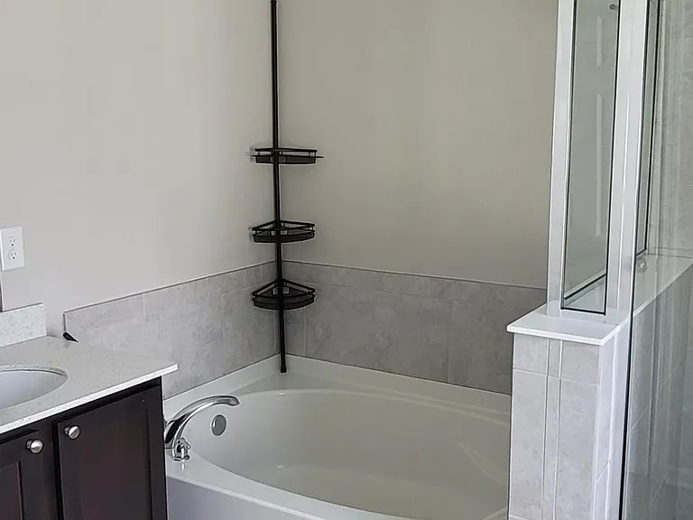 Master bathroom tub