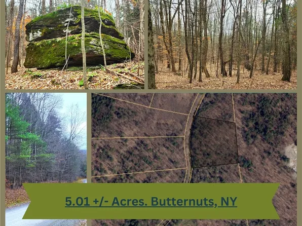 LOT 25 Musson Erwin Rd Lot 25, Mount Upton, NY 13809