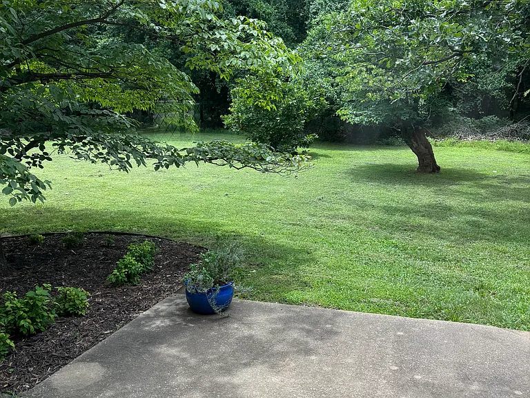 22502 S Dogwood Pl — Photo 25