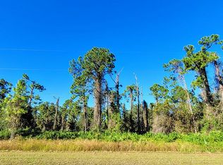 1119 Sunrise Blvd, Lehigh Acres, FL 33974