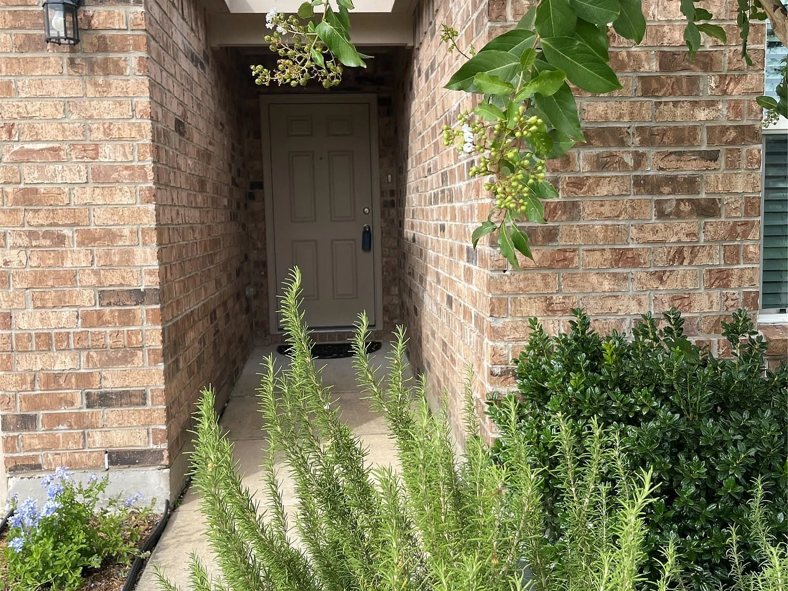 3 bed, 2.0 bath, 1621 sqft, $1,900 — Photo 2
