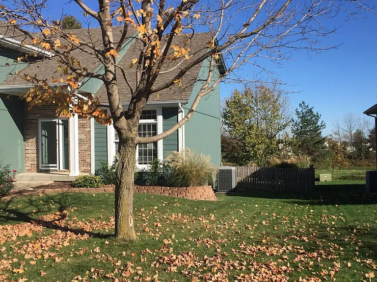 There is a tree in the front and back